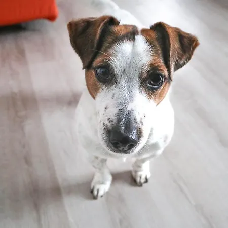 Διαμέρισμα La Casa Di Pamy Μπελάρια-Ιτζέα Μαρίνα