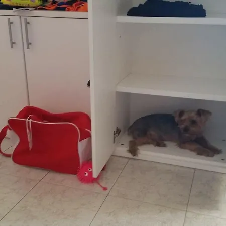 La Casa Di Pamy