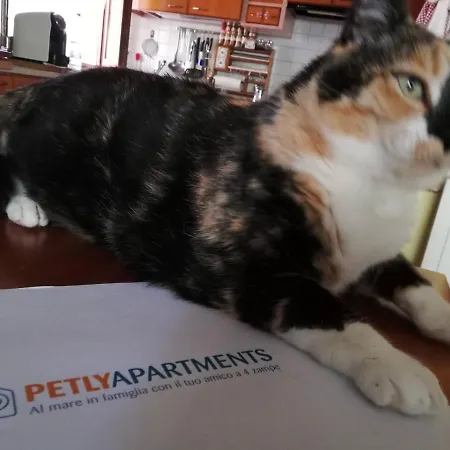 La Casa Di Pamy Διαμέρισμα Μπελάρια-Ιτζέα Μαρίνα