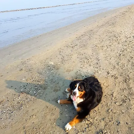 La Casa Di Pamy Διαμέρισμα