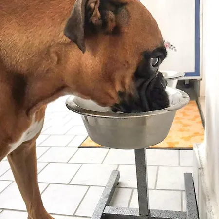 La Casa Di Pamy Διαμέρισμα