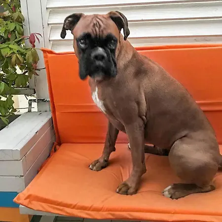 Διαμέρισμα La Casa Di Pamy