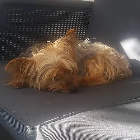 Διαμέρισμα La Casa Di Pamy Μπελάρια-Ιτζέα Μαρίνα