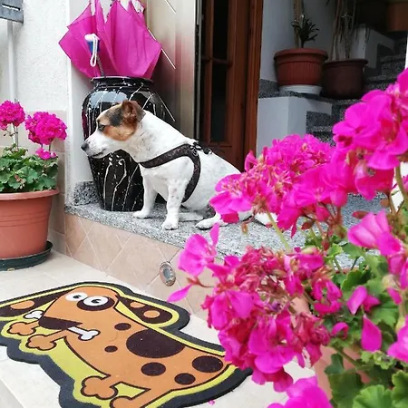 La Casa Di Pamy *