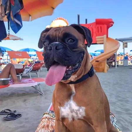 La Casa Di Pamy * Μπελάρια-Ιτζέα Μαρίνα