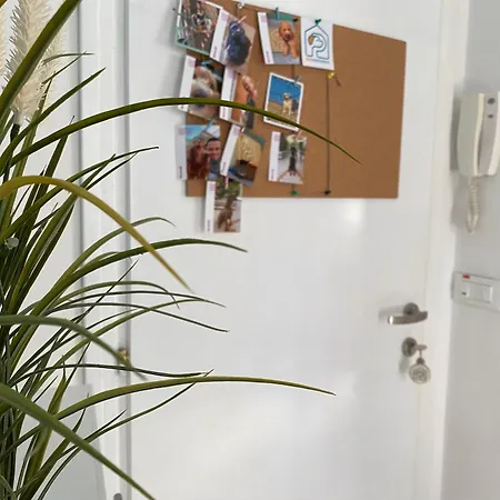 La Casa Di Pamy