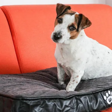 Lägenhet La Casa Di Pamy