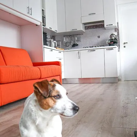 La Casa Di Pamy Lägenhet Bellaria-Igea Marina