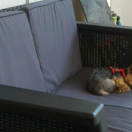 La Casa Di Pamy * Bellaria-Igea Marina