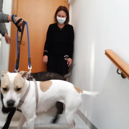 Lägenhet La Casa Di Pamy *