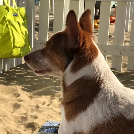 La Casa Di Pamy Lägenhet *