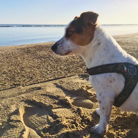 La Casa Di Pamy Lägenhet