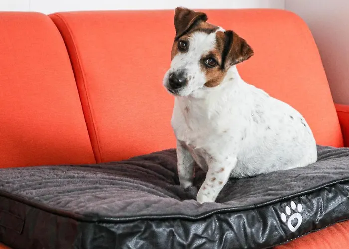 Lägenhet La Casa Di Pamy