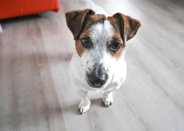 Lägenhet La Casa Di Pamy Bellaria-Igea Marina