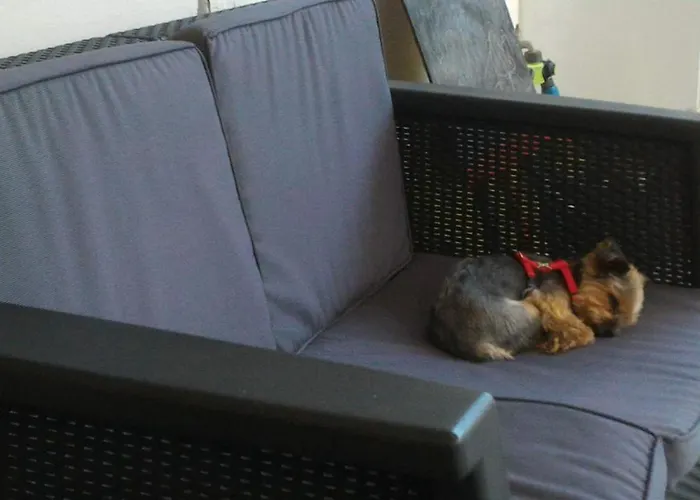 La Casa Di Pamy * Bellaria-Igea Marina