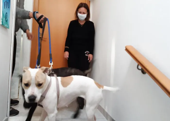 Lägenhet La Casa Di Pamy *