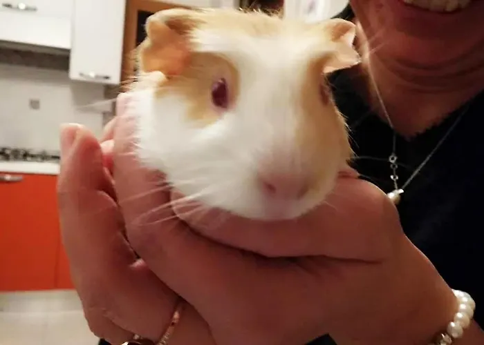 Lägenhet La Casa Di Pamy *