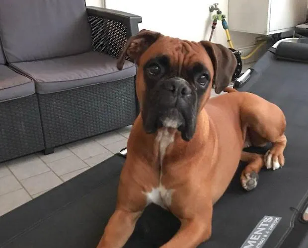 Lägenhet La Casa Di Pamy *