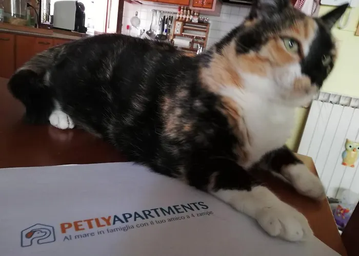 La Casa Di Pamy Appartement Bellaria-Igea Marina