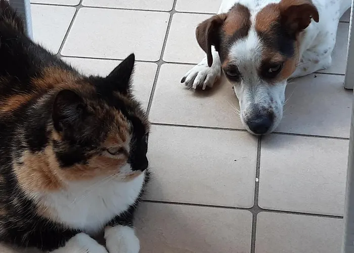 La Casa Di Pamy Appartement