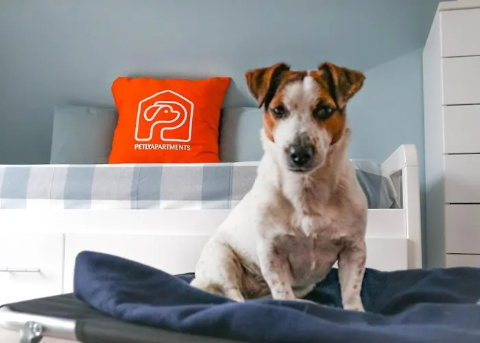 La Casa Di Pamy Bellaria-Igea Marina