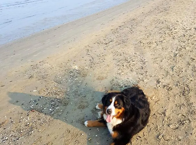 La Casa Di Pamy Lägenhet