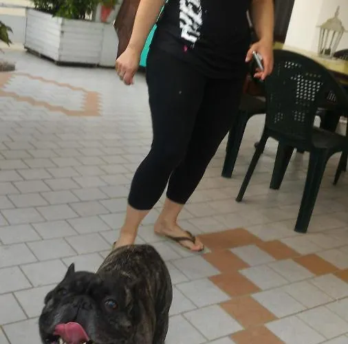 La Casa Di Pamy Lägenhet *