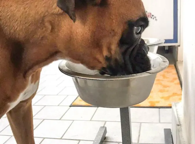 La Casa Di Pamy Appartement