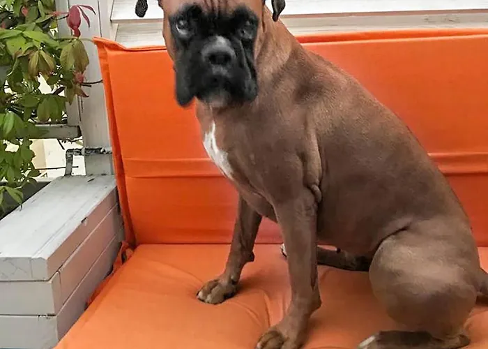 Appartement La Casa Di Pamy