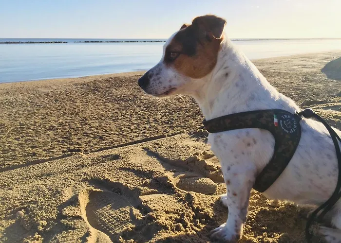 La Casa Di Pamy Appartement