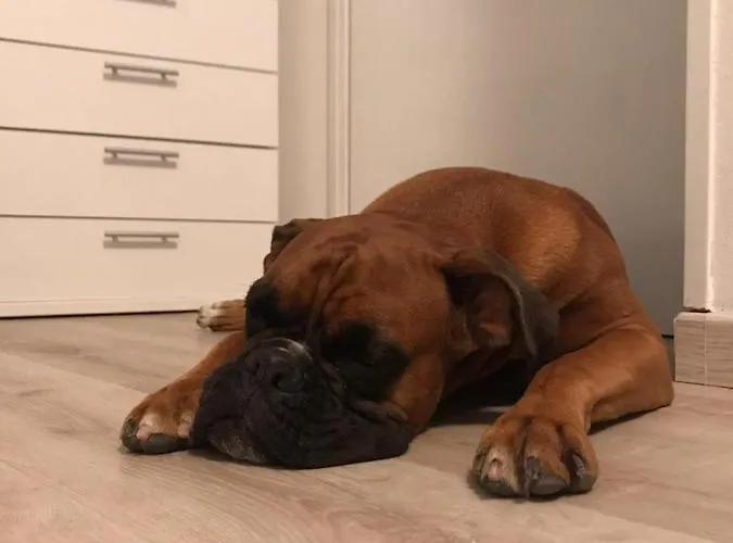 La Casa Di Pamy Lägenhet