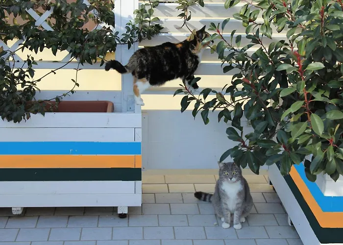 La Casa Di Pamy Appartement