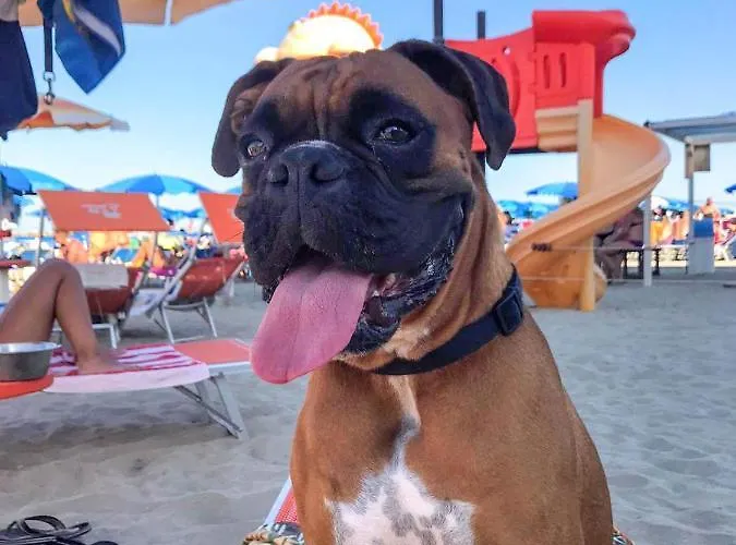 La Casa Di Pamy * Bellaria-Igea Marina